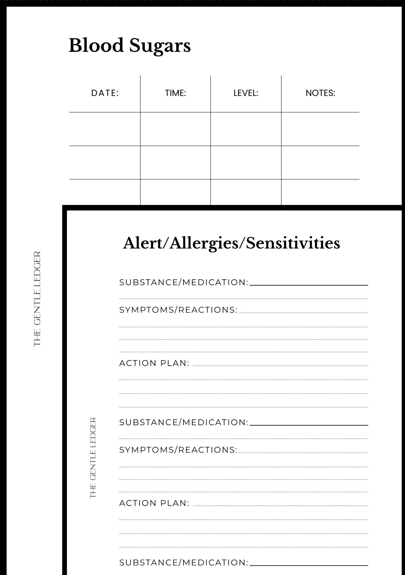 Medical Record Planner (includes inserts)