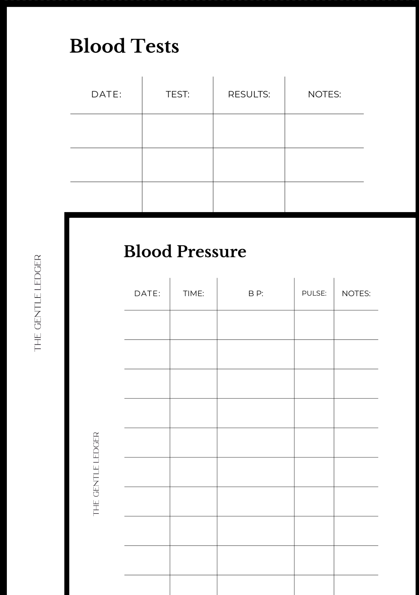 Medical Record Planner (includes inserts)
