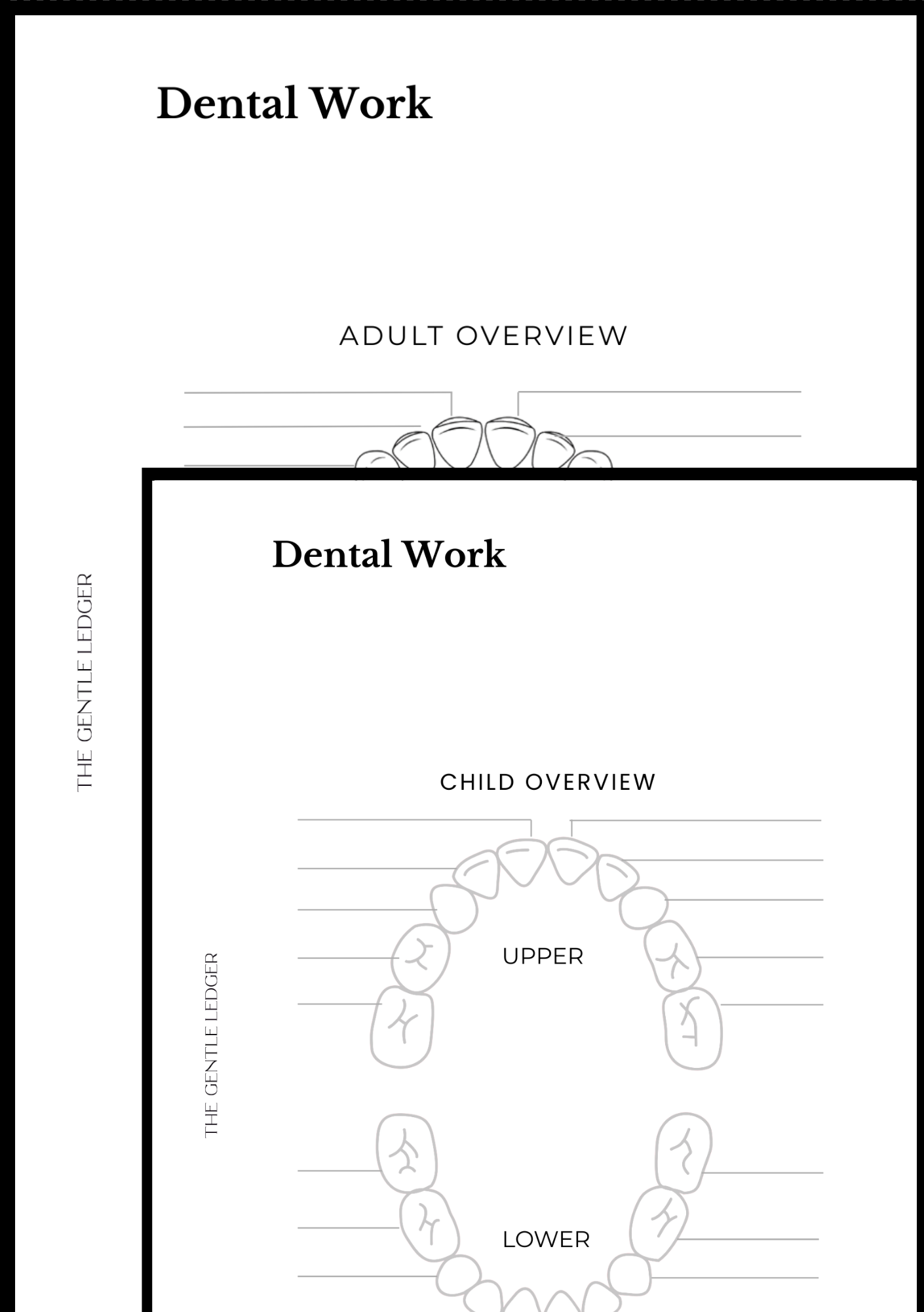 Medical Record Planner (includes inserts)